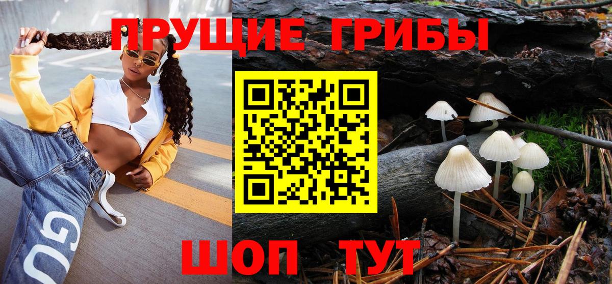 Галлюциногенные грибы Psilocybine cubensis Майский